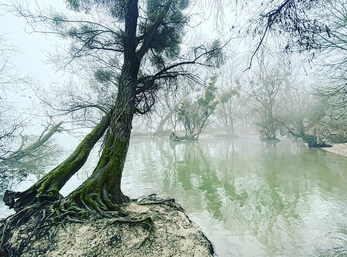 River Rhine